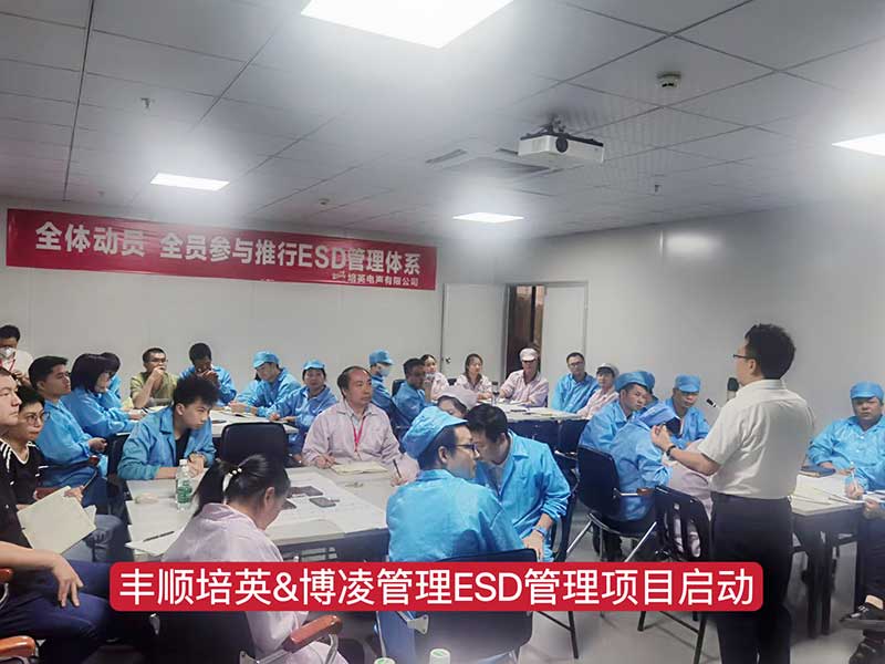 博凌管理為Tier1車載供應商培英電聲公司導入ESD管理系統，提升產品質量穩定可靠性